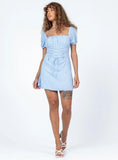 Fauci Mini Dress Blue